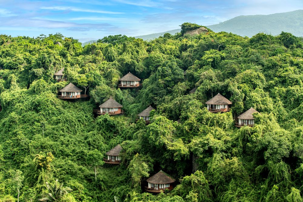 YALONG BAY EARTHY PARADISE BIRDS NEST RESORT - 4