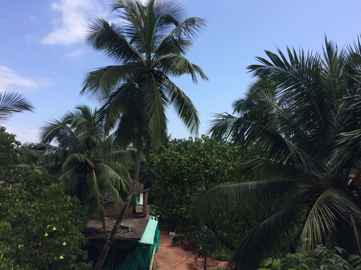 WHITE HOUSE BEACH APARTMENTS - 8