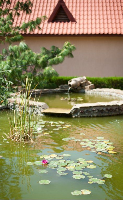 КРЫМСКАЯ ВЕСНА, пансионат (дети принимаются с 2 лет) - 6