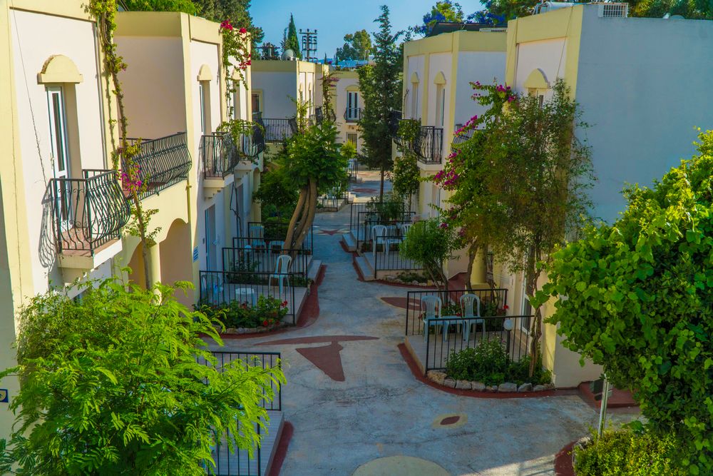 Paloma Family Club - 42