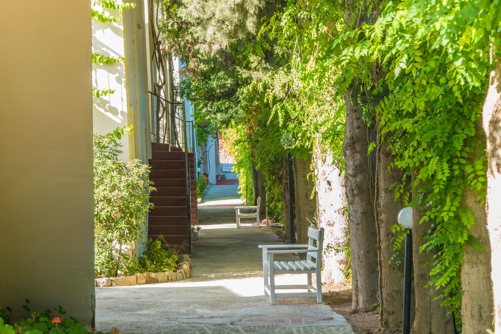 Paloma Family Club - 41