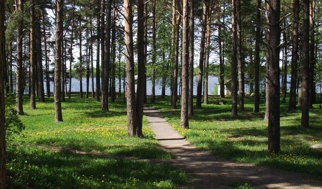 ГОЛУБЫЕ ОЗЕРА, санаторий - 4