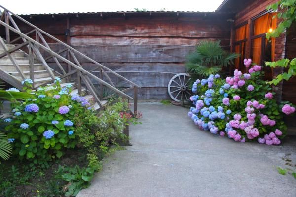 АЛАКУ, отель стандарт - 7