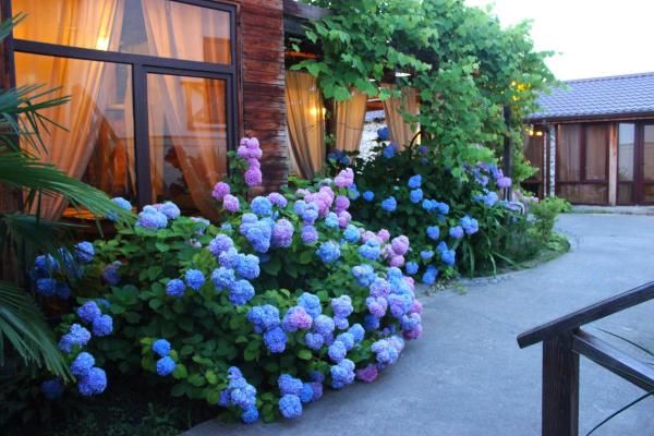 АЛАКУ, отель стандарт - 9