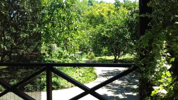 АЛАКУ, отель стандарт - 10