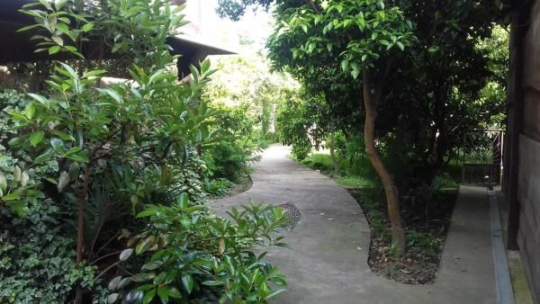 АЛАКУ, отель стандарт - 28