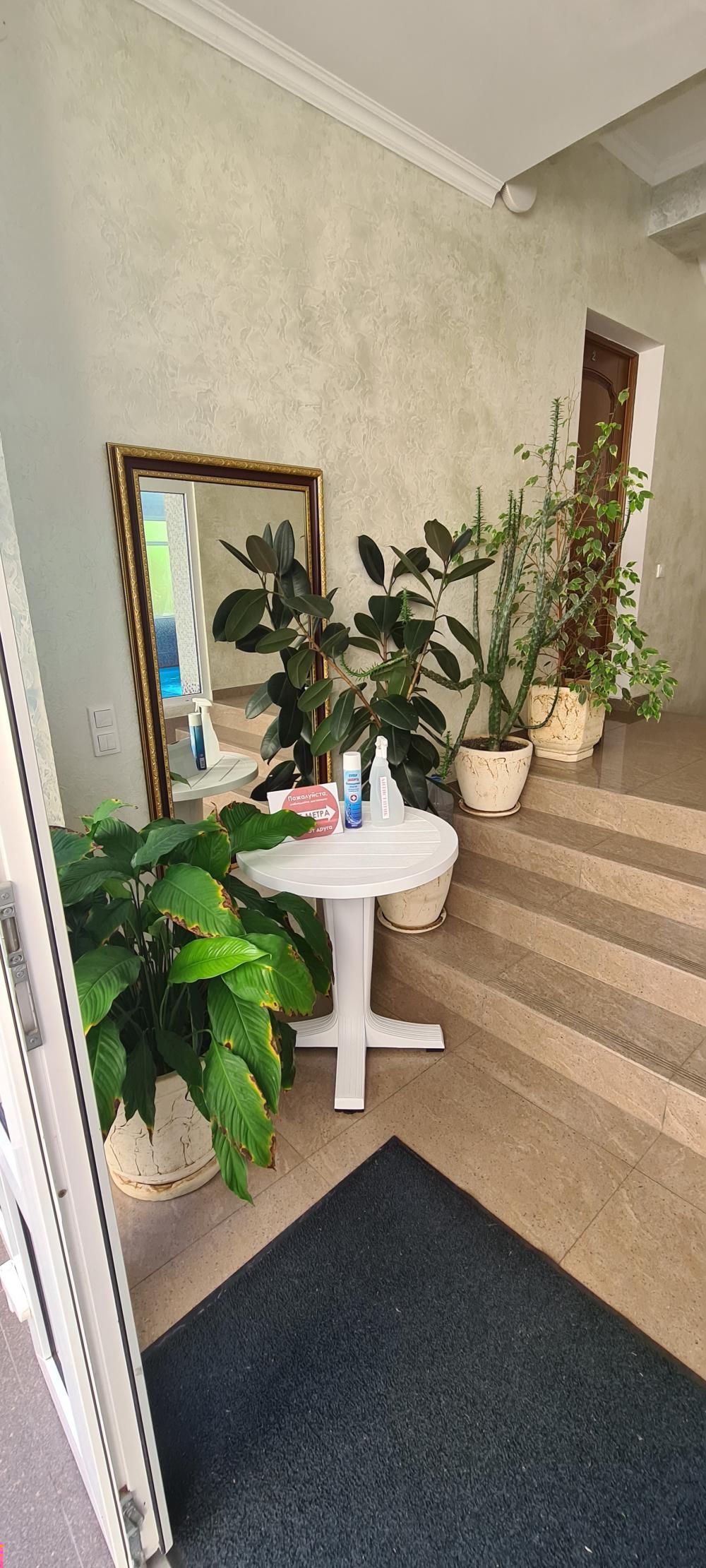 ЧАЙКА (Адлер), гостевой дом - 4