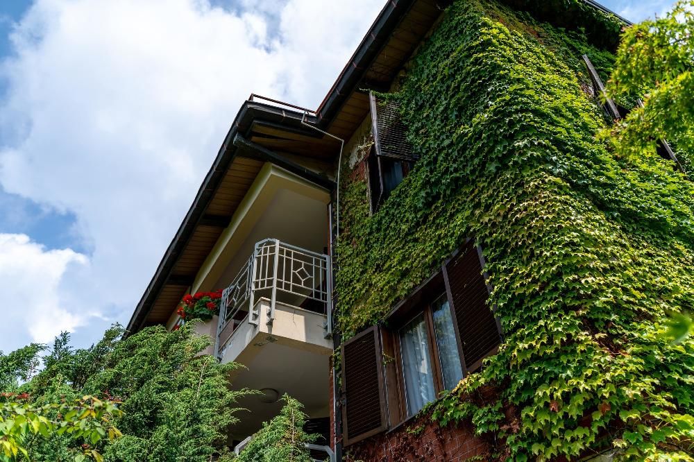 ОДИССЕЯ Wellness Resort, санаторий (лечение с 5ти лет) - 104