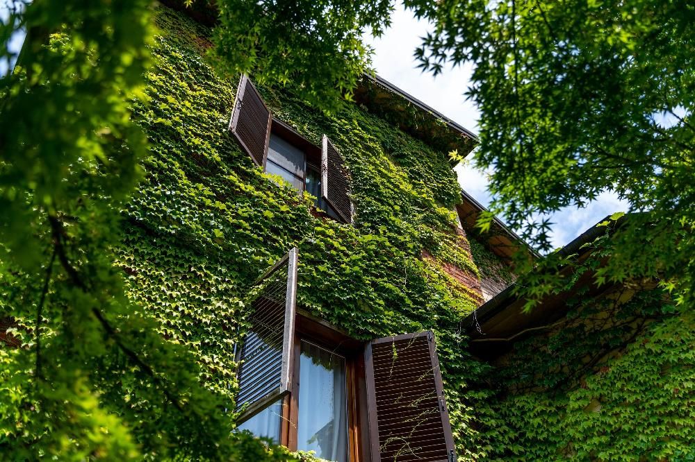 ОДИССЕЯ Wellness Resort, санаторий (лечение с 5ти лет) - 105