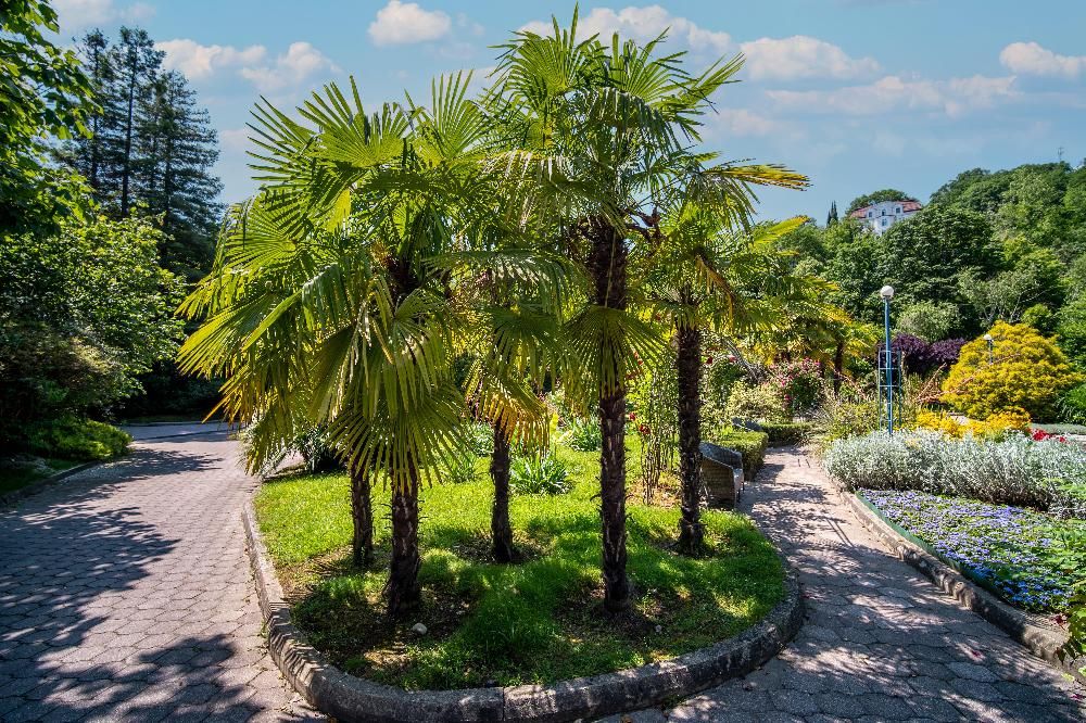 ОДИССЕЯ Wellness Resort, санаторий (лечение с 5ти лет) - 27