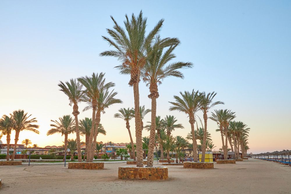 PROTELS CRYSTAL BEACH RESORT - 21