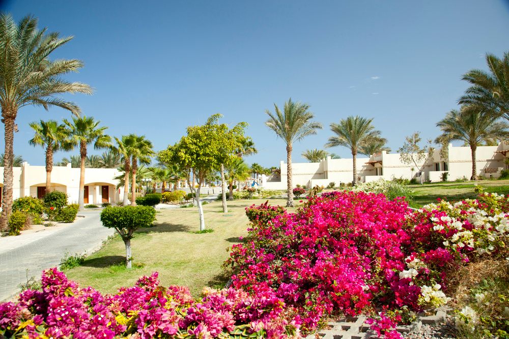 CORAL BEACH RESORT - 15