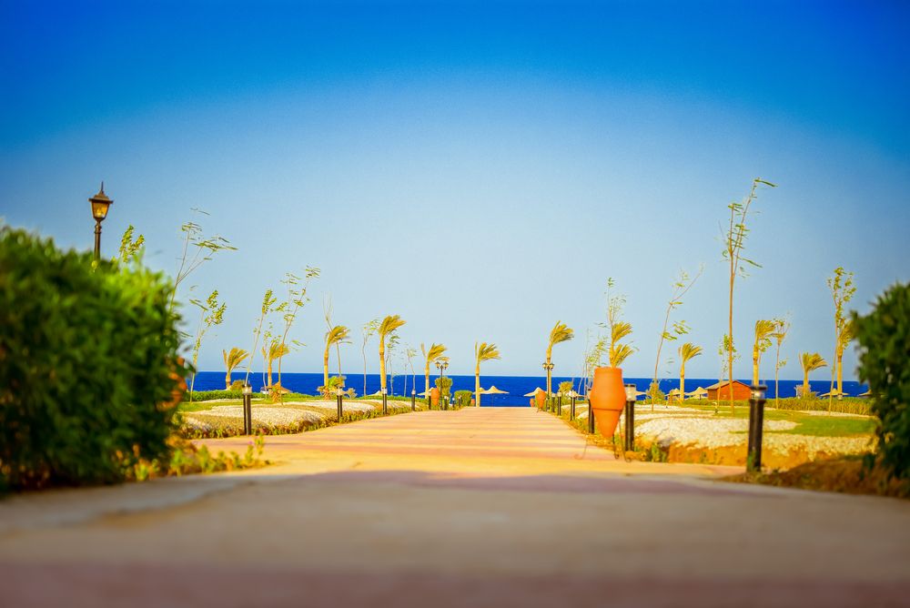 AMARINA QUEEN RESORT MARSA ALAM - 17