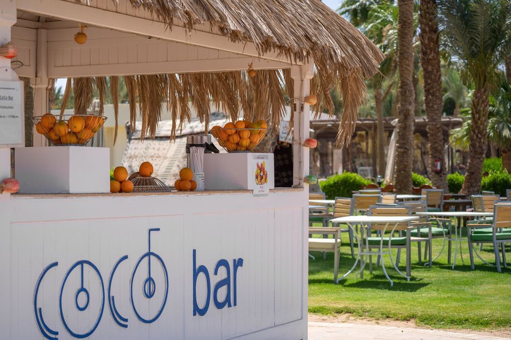 JAZ ROYAL PALMARIVA (ex. LABRANDA ROYAL MAKADI) - 26