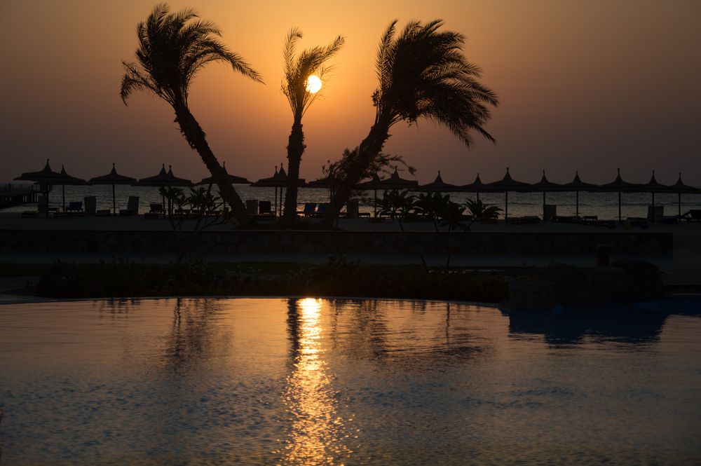 NOVOTEL MARSA ALAM - 33