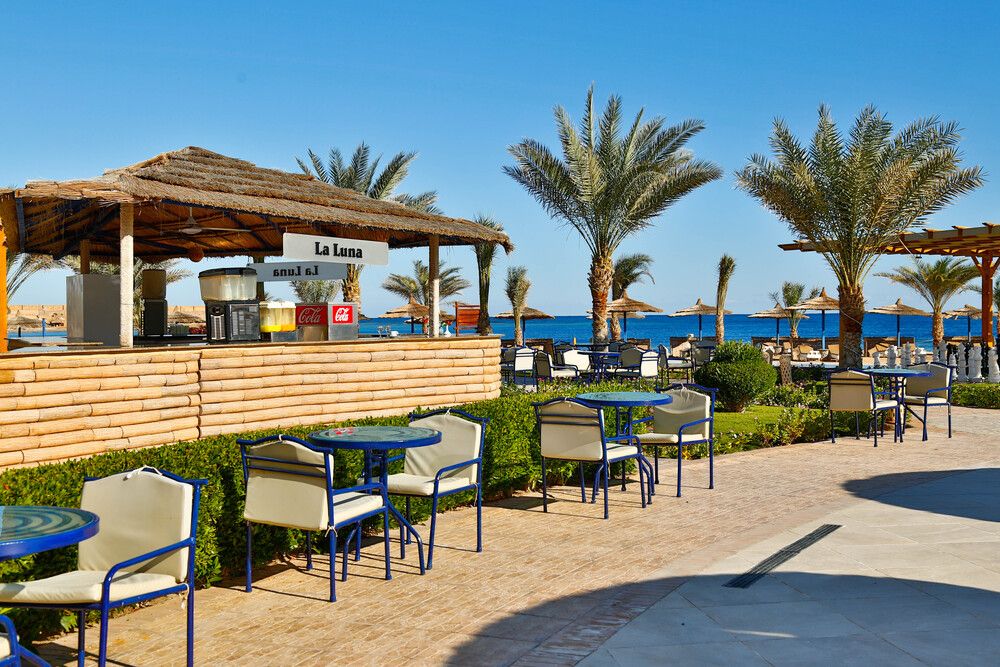 CORAL SUN BEACH SAFAGA - 58