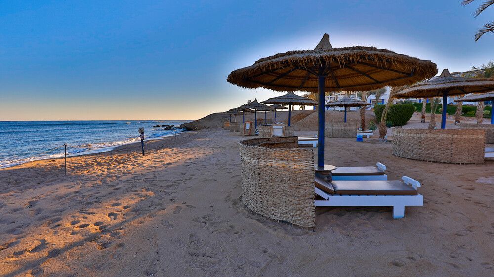 CORAL SUN BEACH SAFAGA - 22