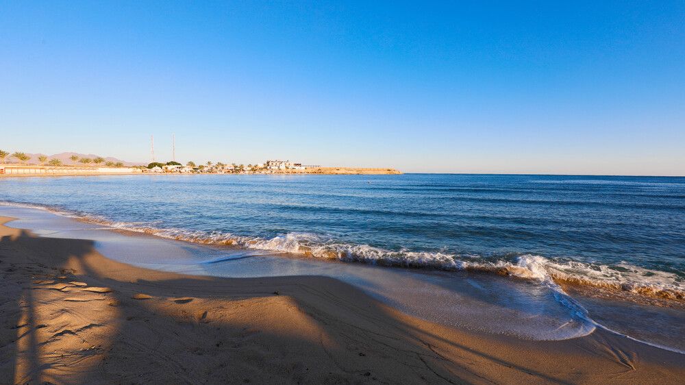 CORAL SUN BEACH SAFAGA - 21