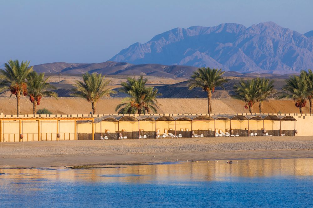 CORAL SUN BEACH SAFAGA - 18