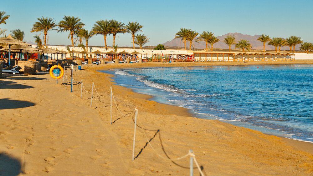 CORAL SUN BEACH SAFAGA - 15