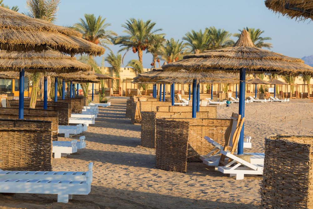 CORAL SUN BEACH SAFAGA - 14