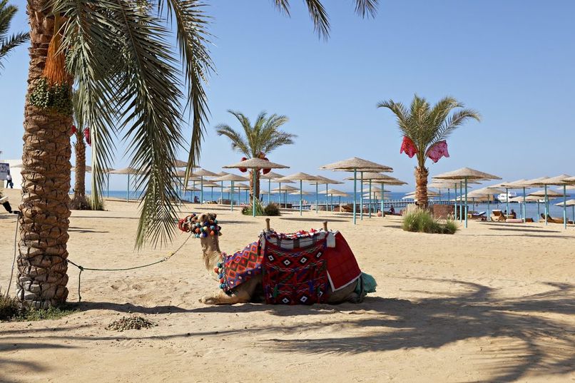 THREE CORNERS SUNNY BEACH - 4
