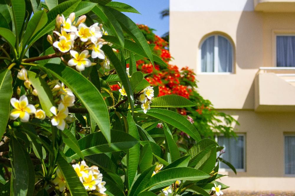 GOLDEN BEACH RESORT AND AQUA PARK - 7