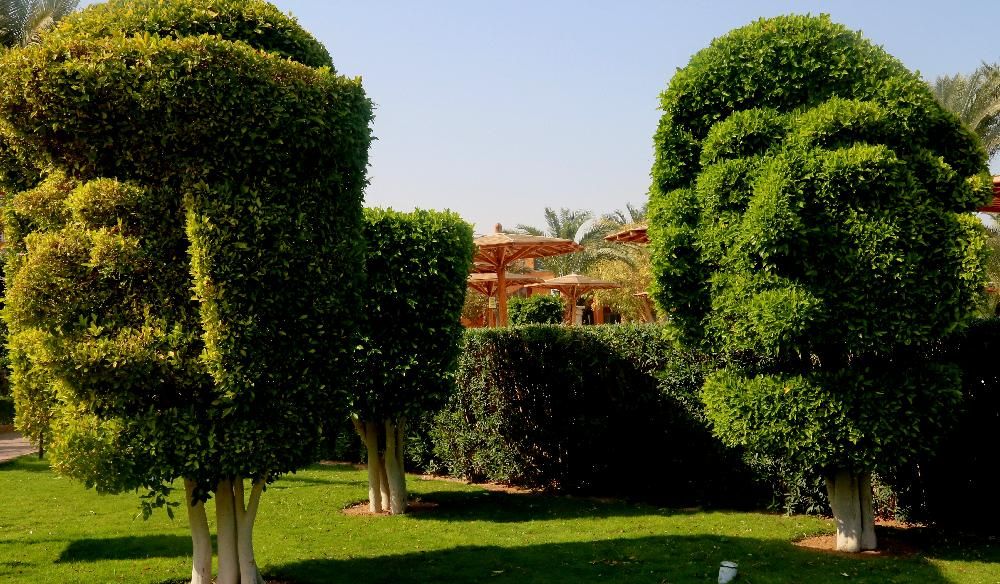 GOLDEN BEACH RESORT AND AQUA PARK - 44