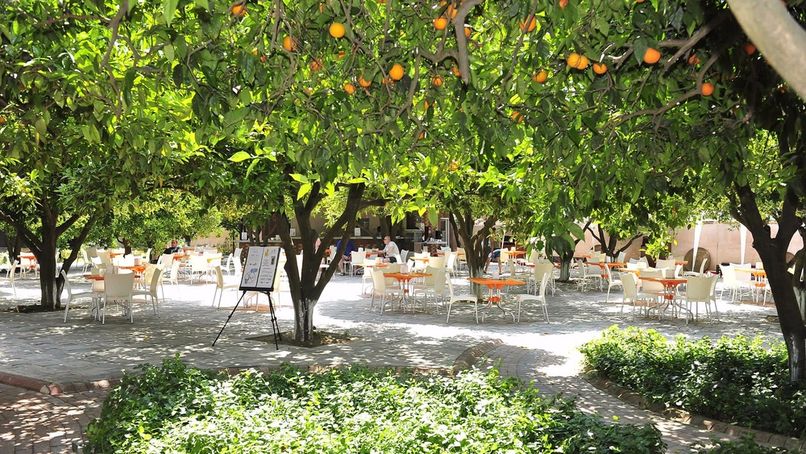 Misal Hotel Spa & Resort (ex. Noxinn Club) - 4