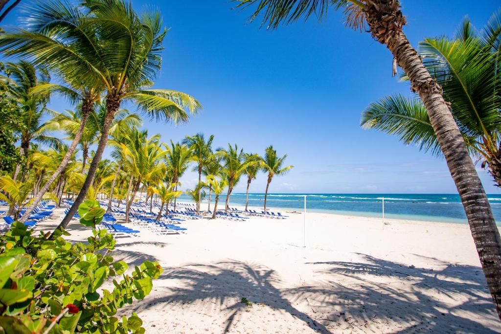 CORAL COSTA CARIBE - 14