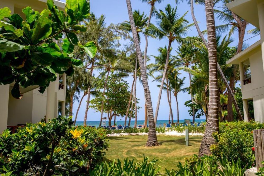 IMPRESSIVE PUNTA CANA  - 16