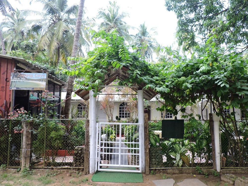 ZAPPIA COVE GUEST HOUSE - 1