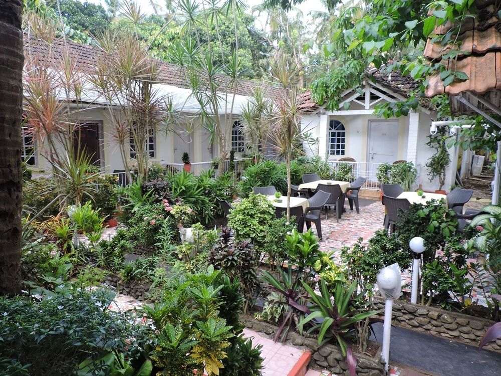 ZAPPIA COVE GUEST HOUSE - 7