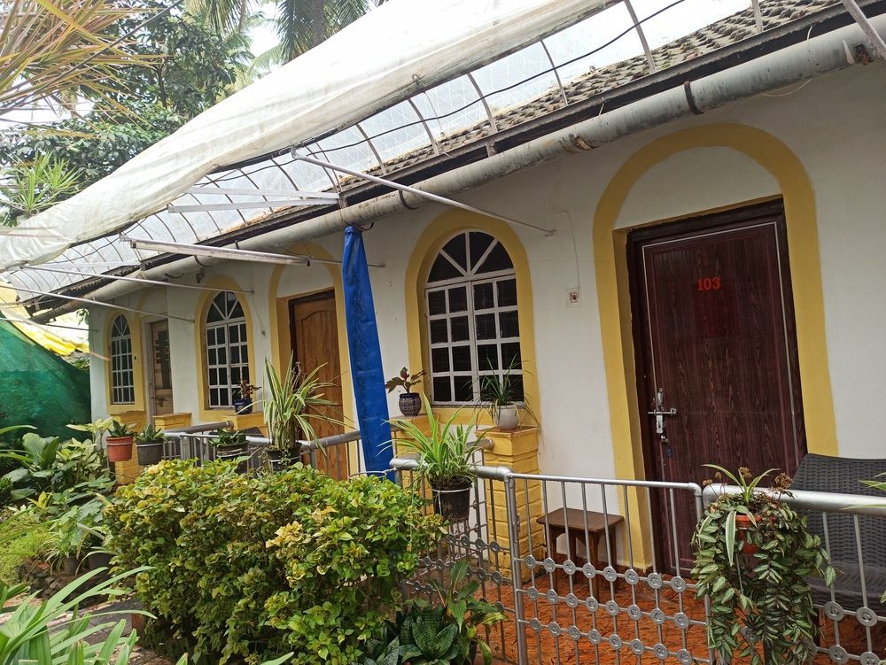 ZAPPIA COVE GUEST HOUSE - 3