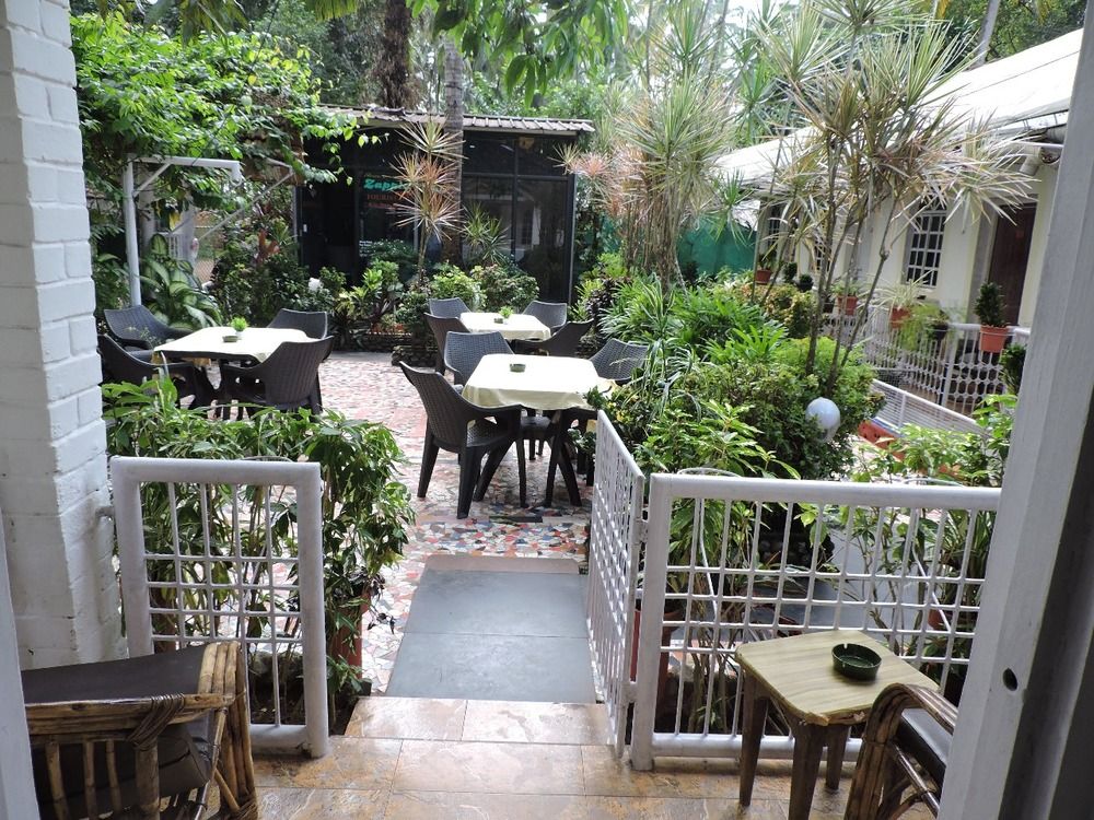 ZAPPIA COVE GUEST HOUSE - 10