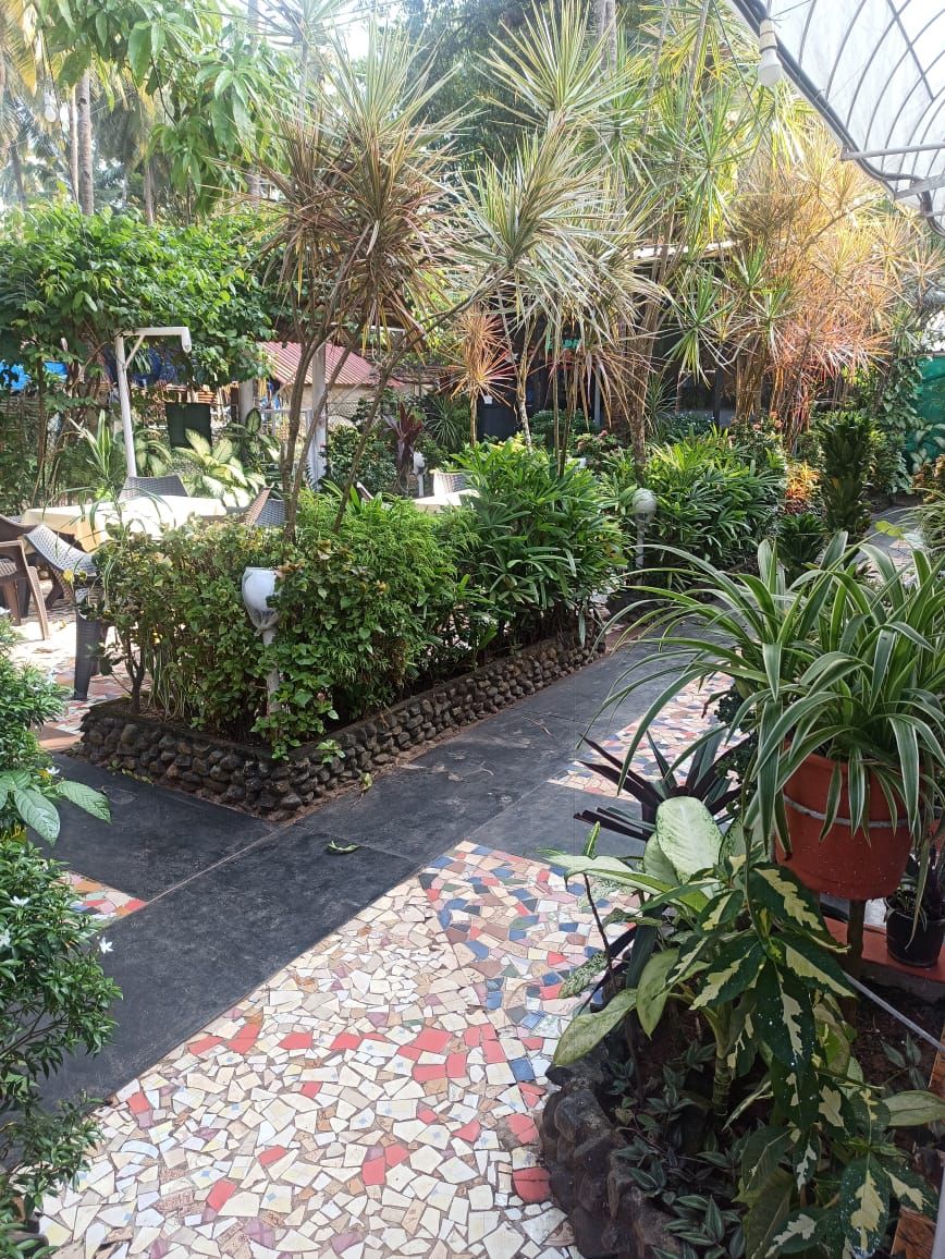 ZAPPIA COVE GUEST HOUSE - 2