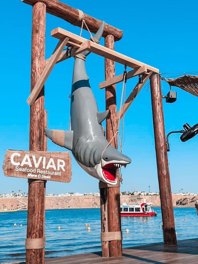 PANORAMA NAAMA HEIGHTS - 16