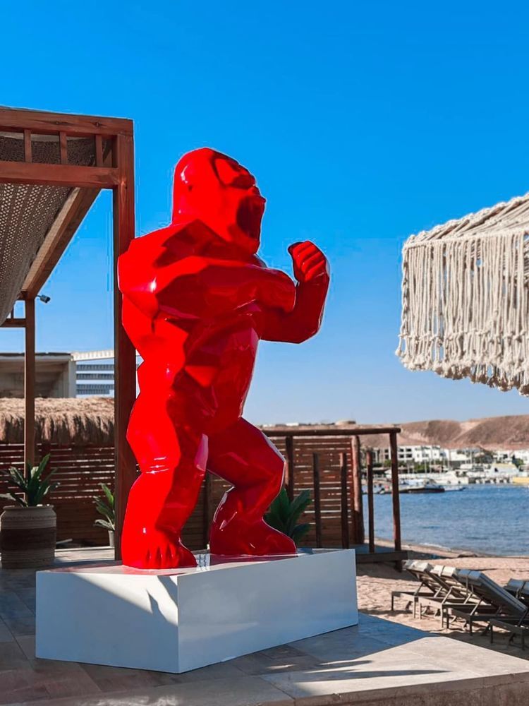 PANORAMA NAAMA HEIGHTS - 17