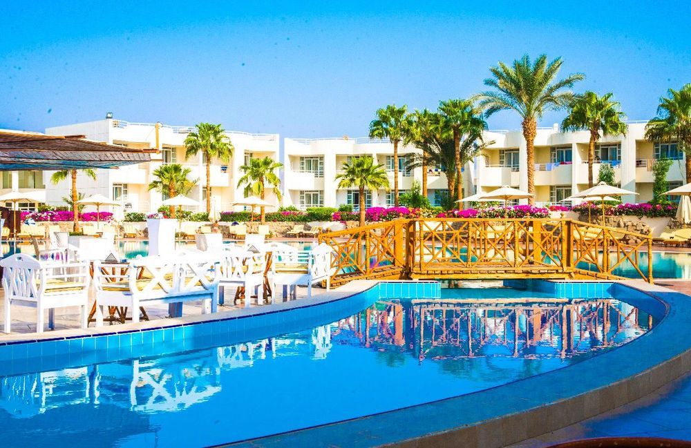 SHARM REEF - 18