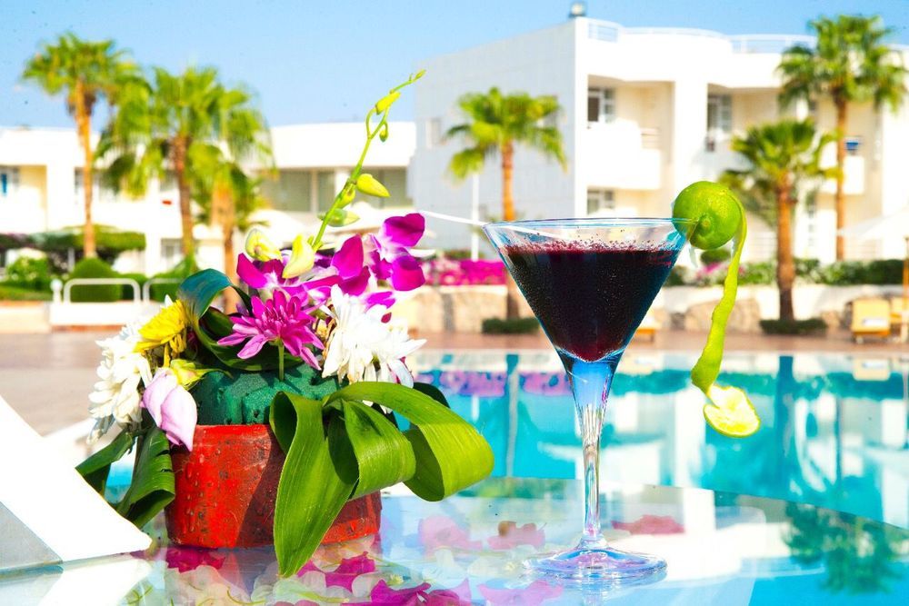 SHARM REEF - 27