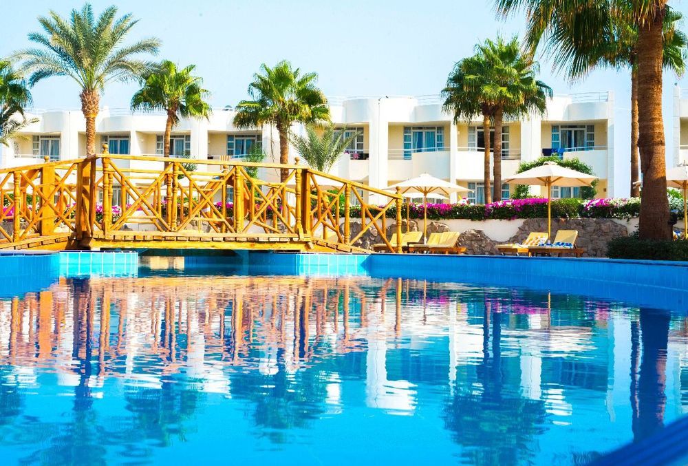 SHARM REEF - 17