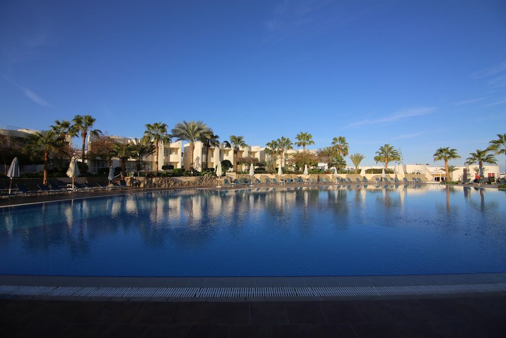 SHARM REEF - 5