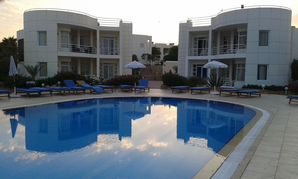 SHARM REEF - 12