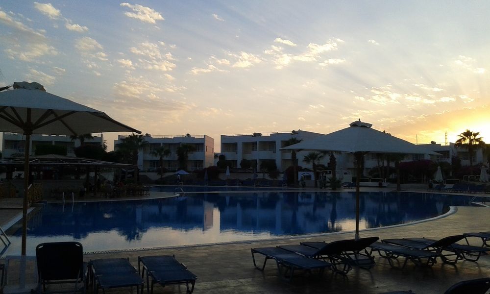 SHARM REEF - 9