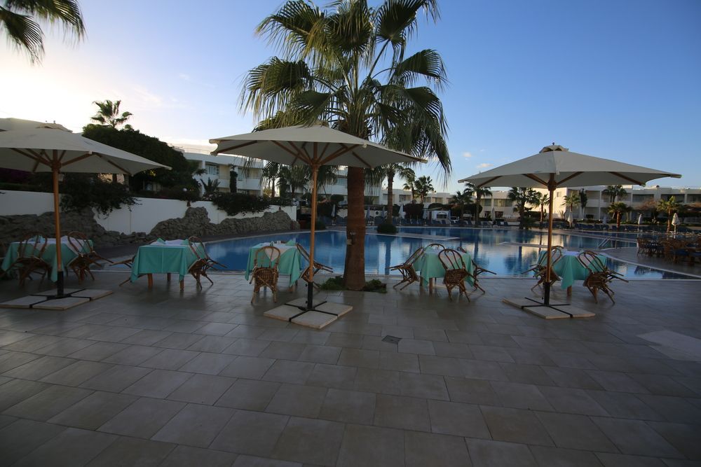 SHARM REEF - 16