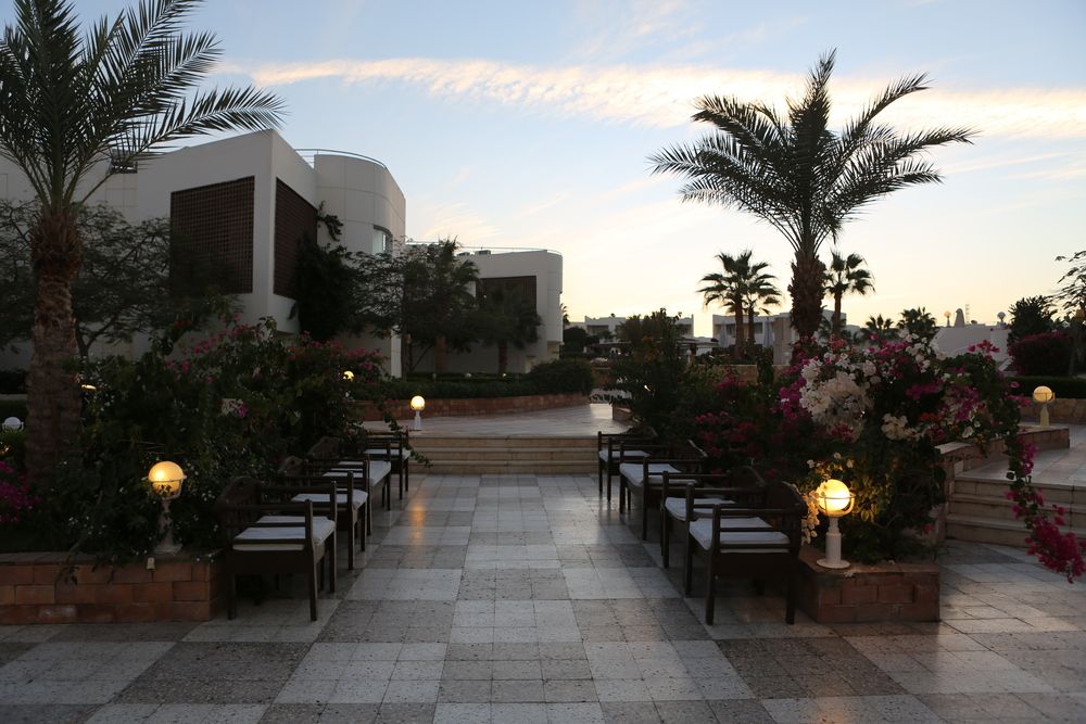 SHARM REEF - 11