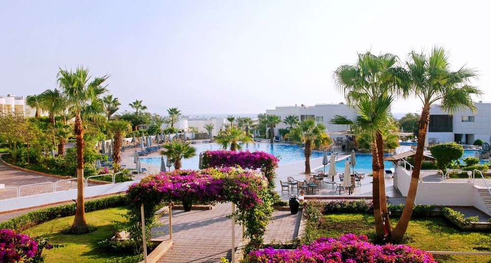 SHARM REEF - 15