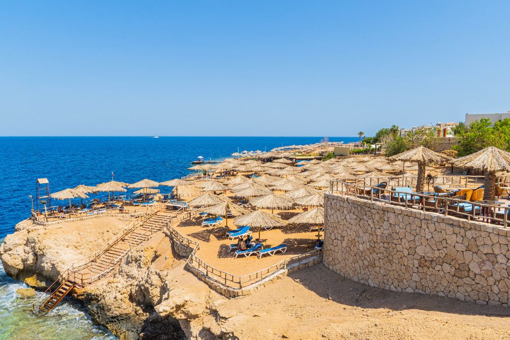 SHARM REEF - 32
