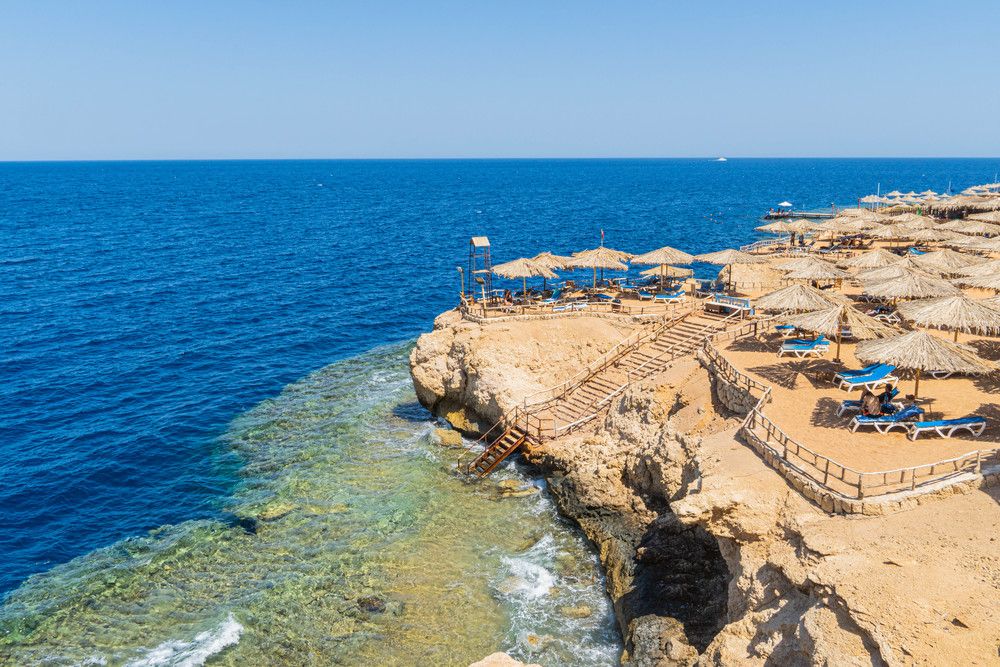 SHARM REEF - 31