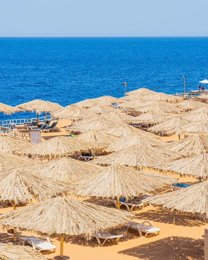 SHARM REEF - 38